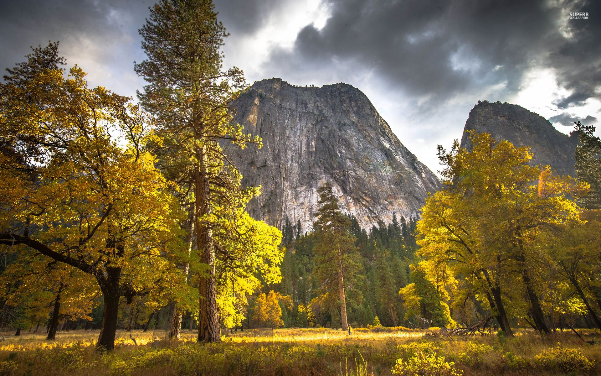 Yosemite National Park wallpaper - Nature wallpapers - #39475