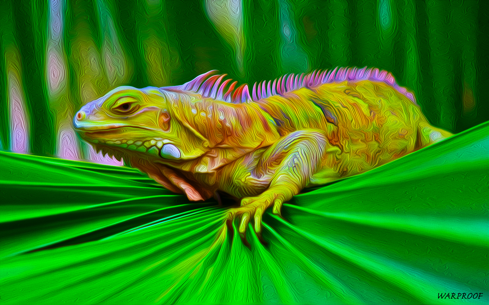 Iguana Wallpaper HD