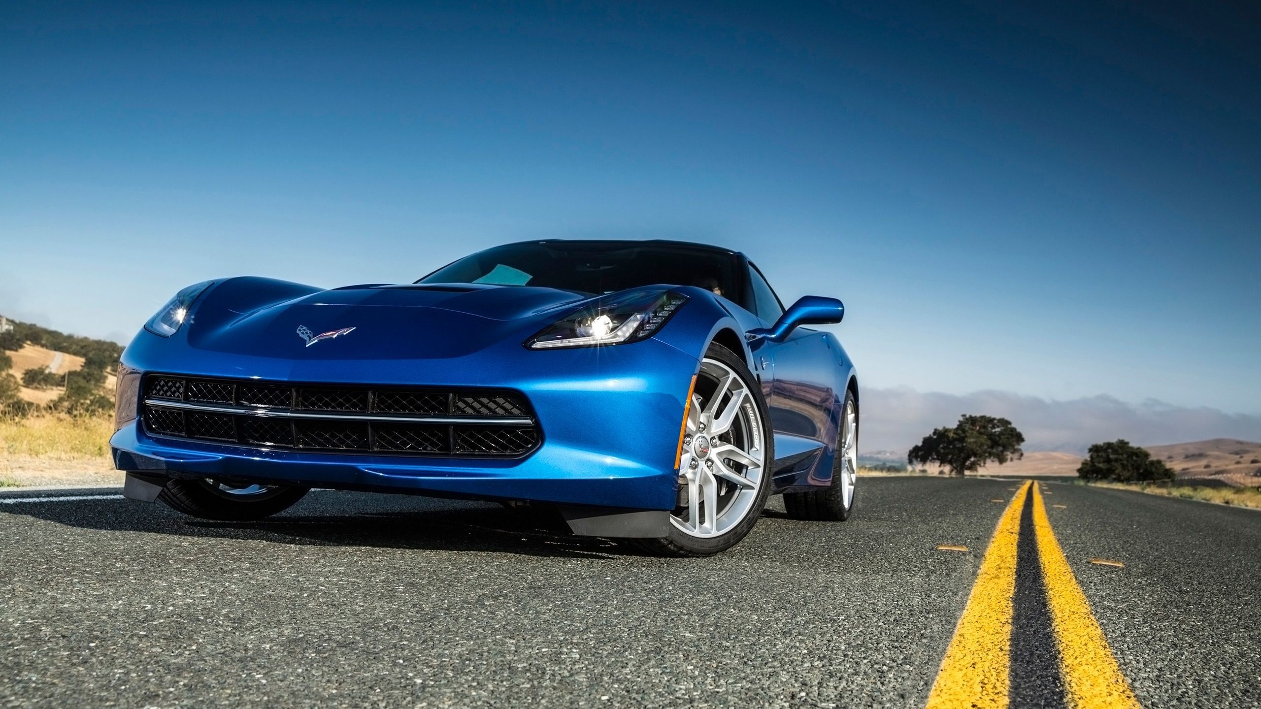 2014 Chevrolet Corvette Stingray Blue Wallpaper | HD Car Wallpapers