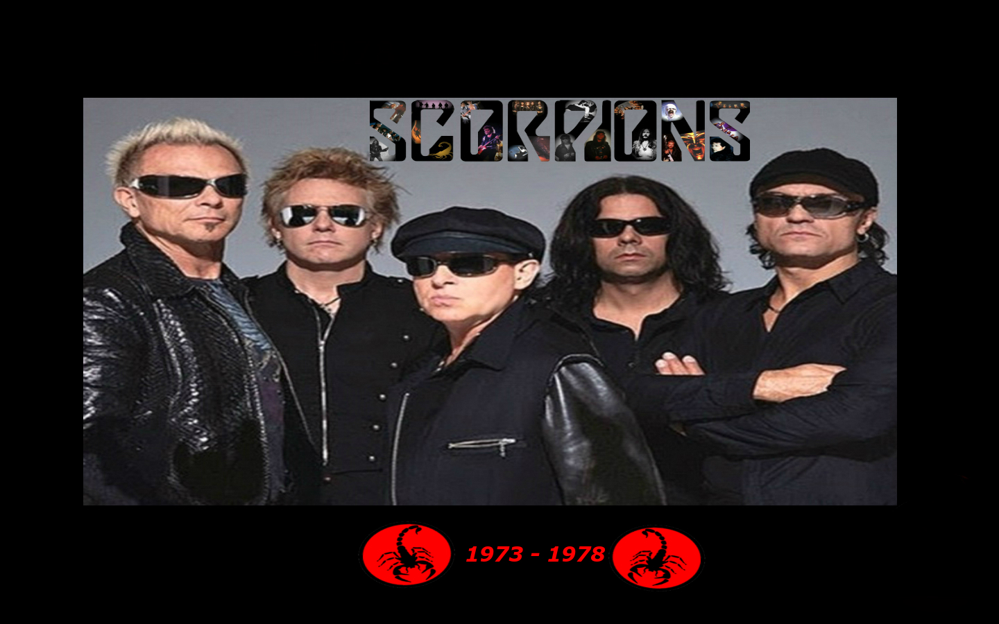 11 Scorpions HD Wallpapers Backgrounds - Wallpaper Abyss