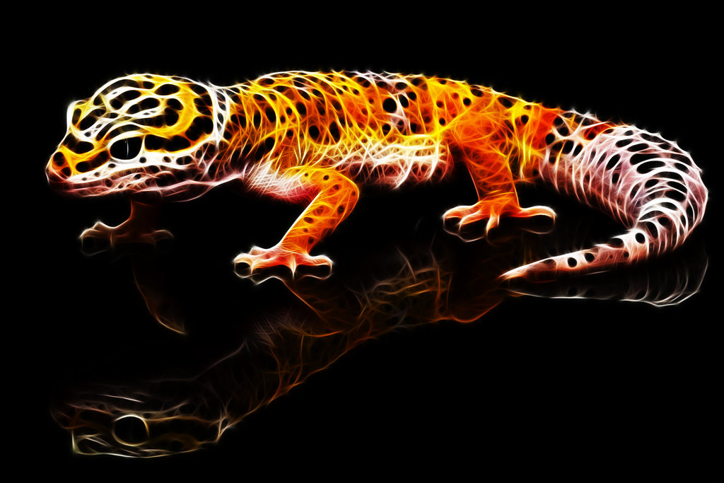 Fractalius Leopard Gecko by megaossa on DeviantArt