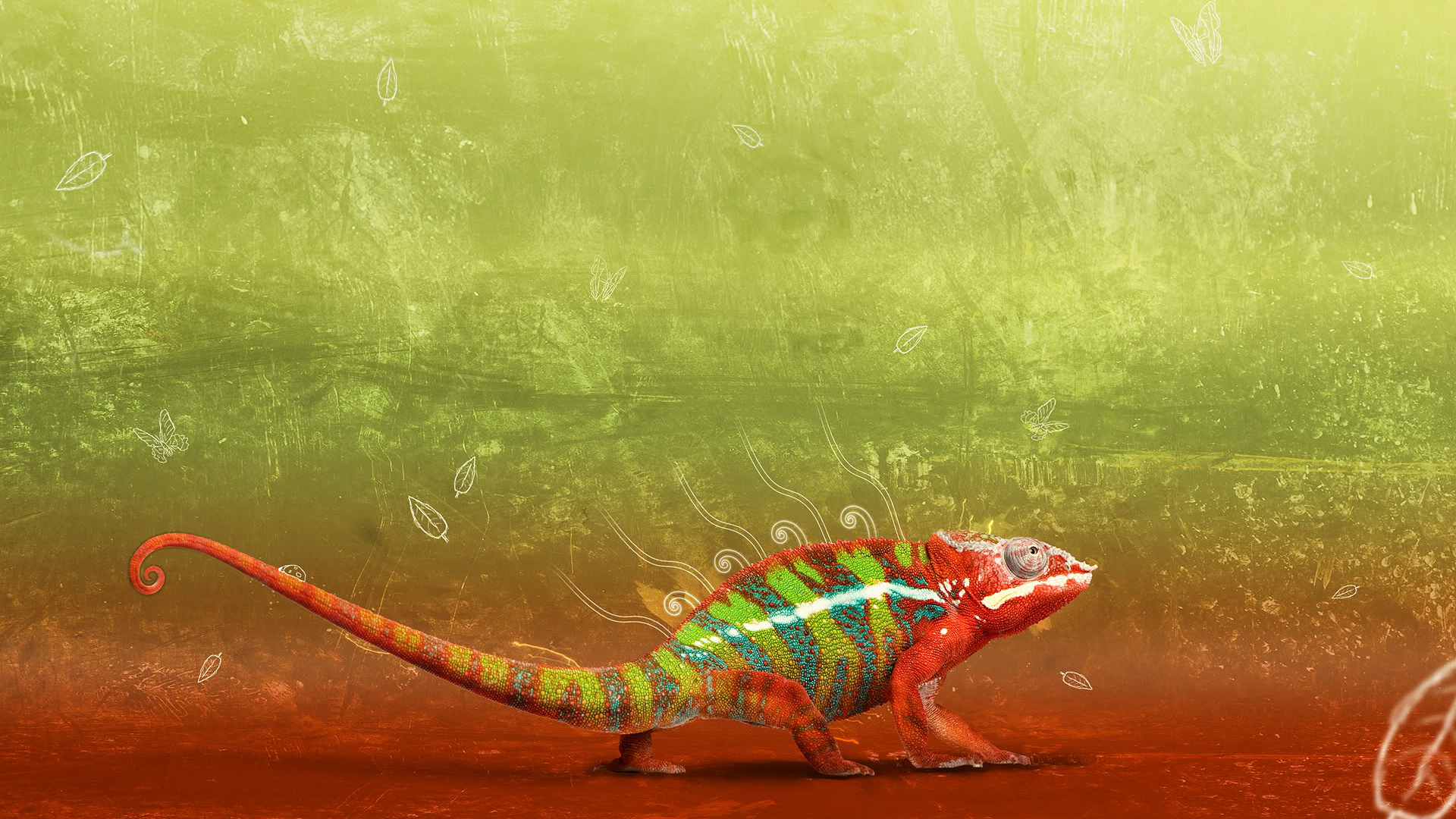 Gecko | Sky HD Wallpaper