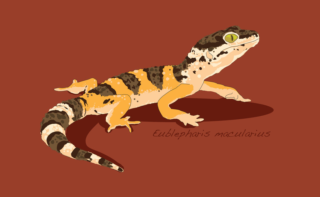 Leopard Gecko Vector by Insanus-Draconem on DeviantArt