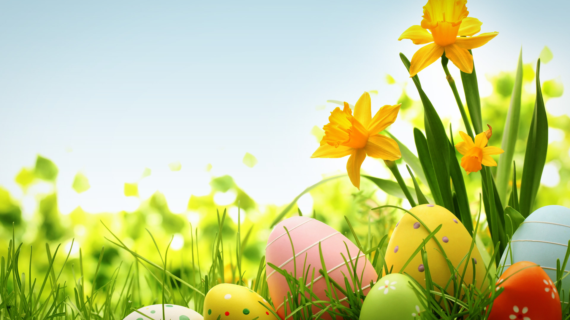 Colorful Easter Eggs Clipart - wallpaper