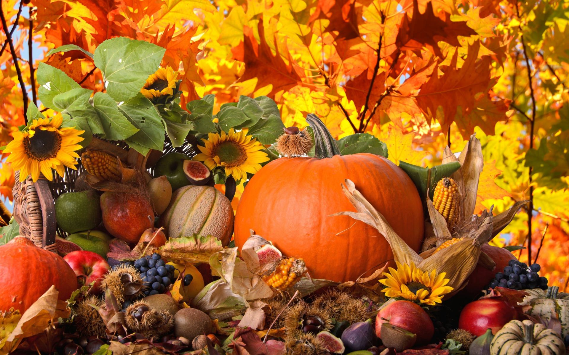 21Thanksgiving Wallpapers, Backgrounds, Images FreeCreatives