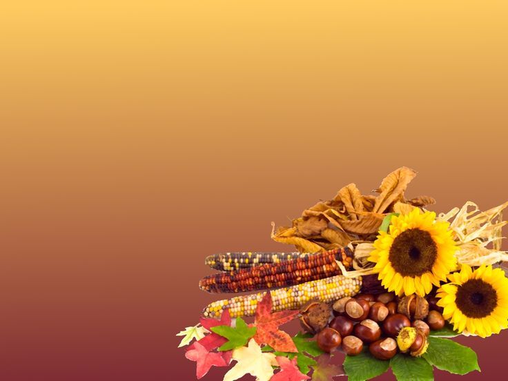 Thanksgiving Powerpoint Backgrounds Hd Free Wallpapers