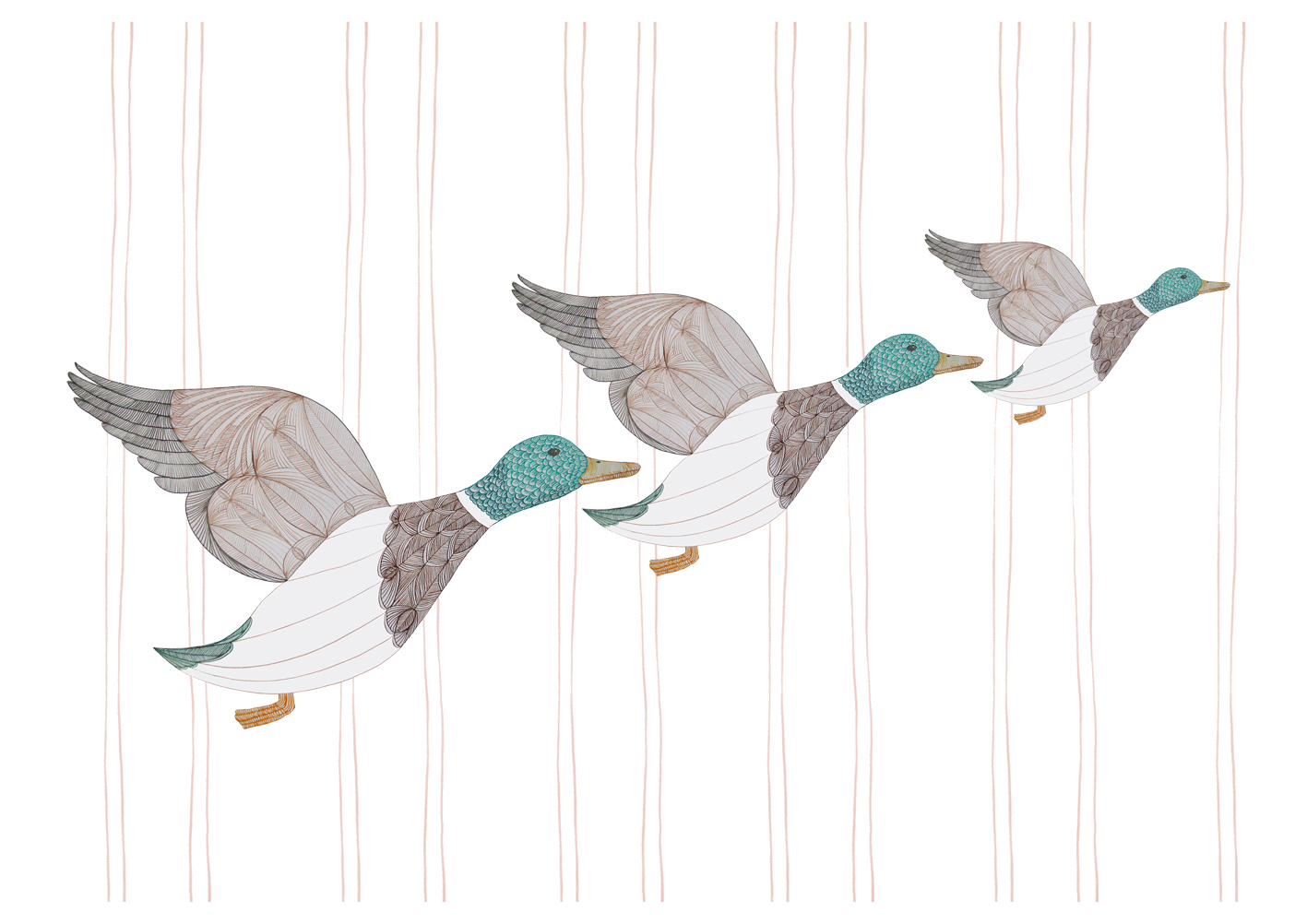 Flying Ducks Giclee Print of Pen and Ink Drawing