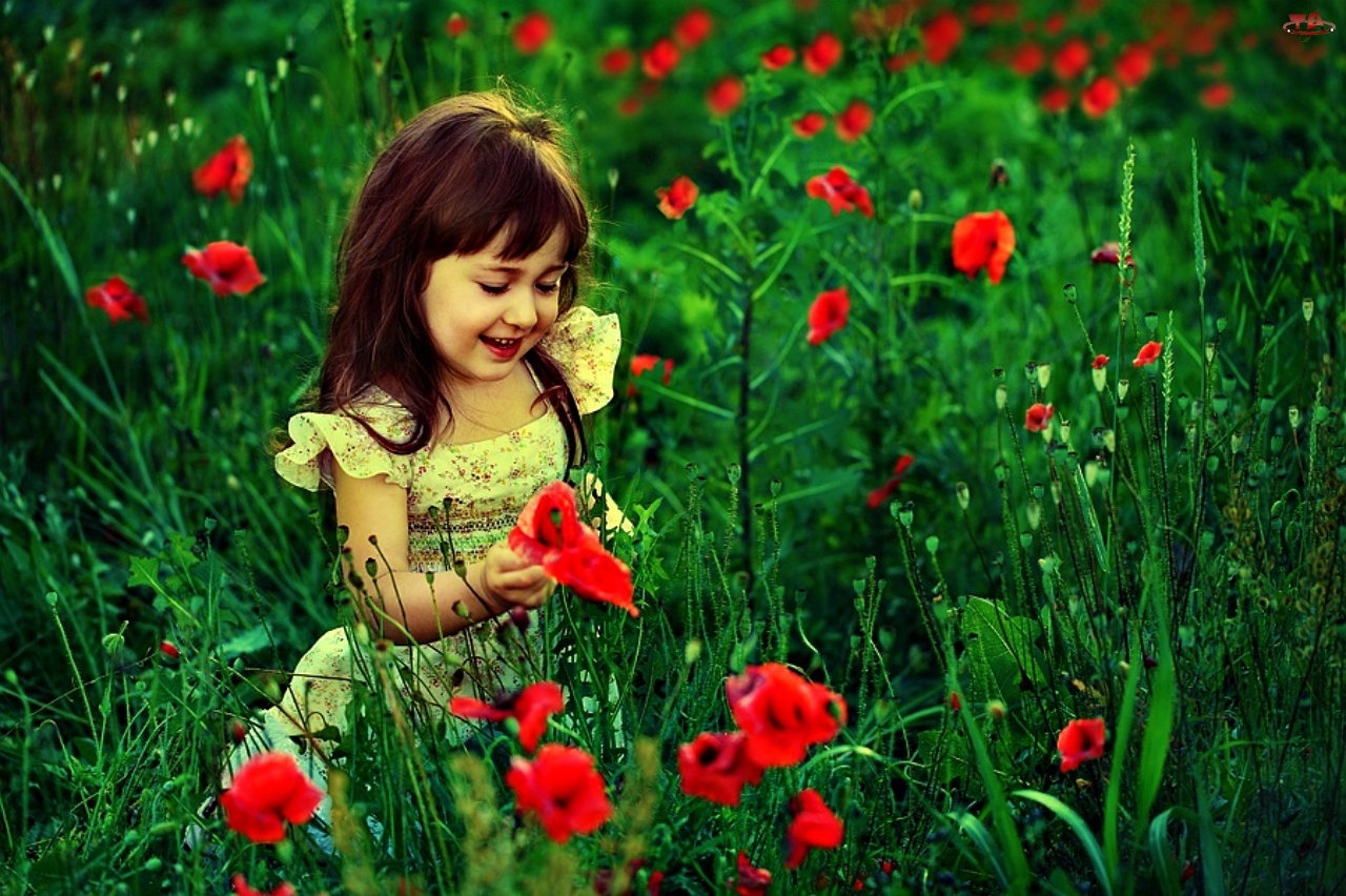 Sweet Little Girl In Garden wallpapers