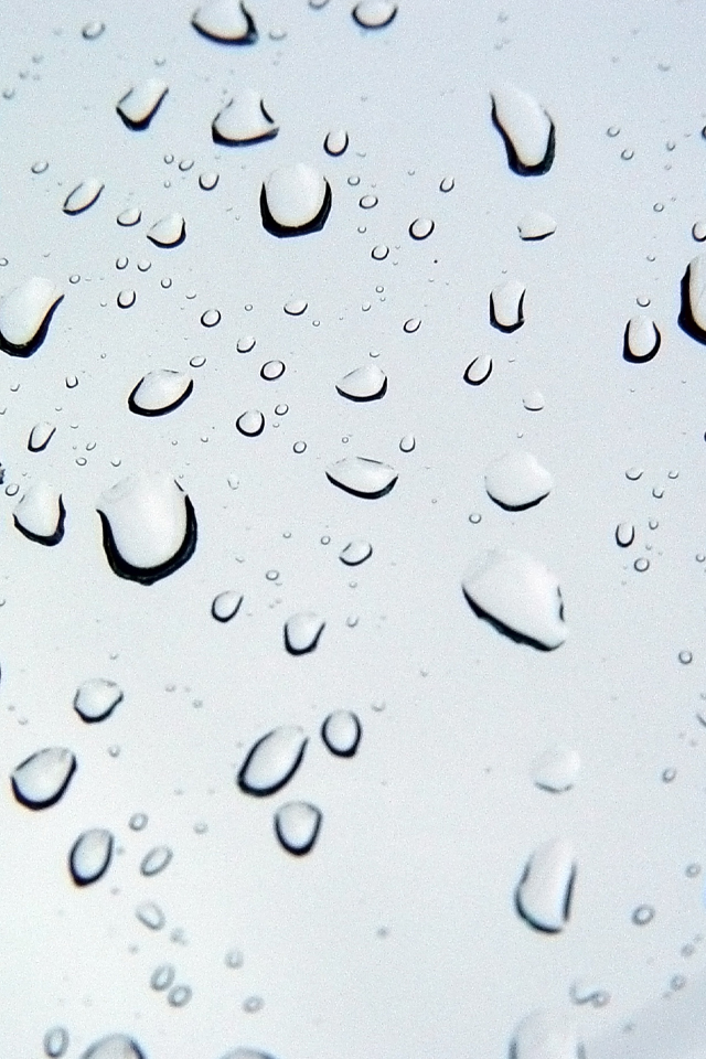 bubbles, raindrops | iPhone Wallpaper
