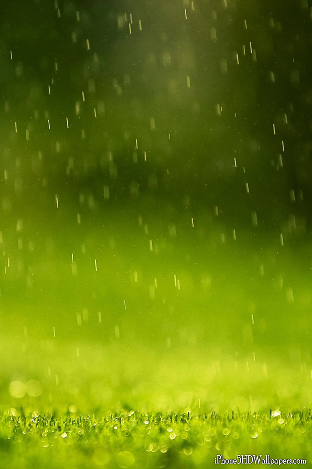 iPhone 5 HD Green Raindrops Wallpapers and Backgrounds | iPhone 5 ...