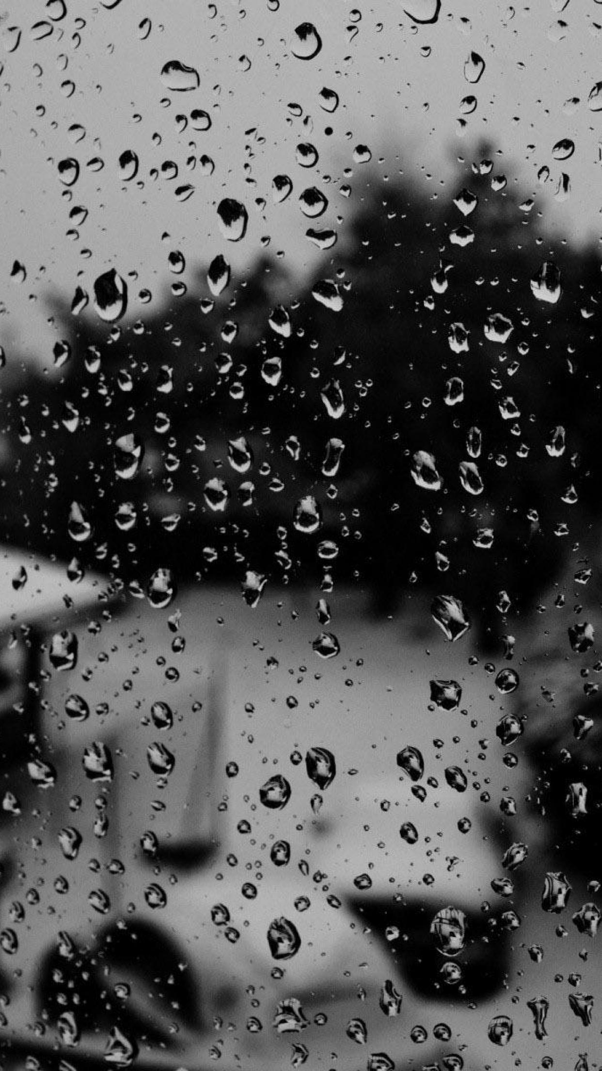 Photography Rain Raindrops on the window Window Raindrop HD ...