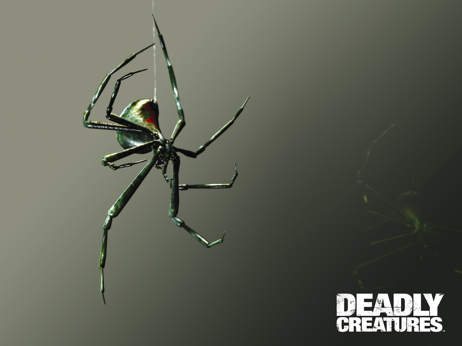 Deadly Creatures Wallpapers at Wallpaperist