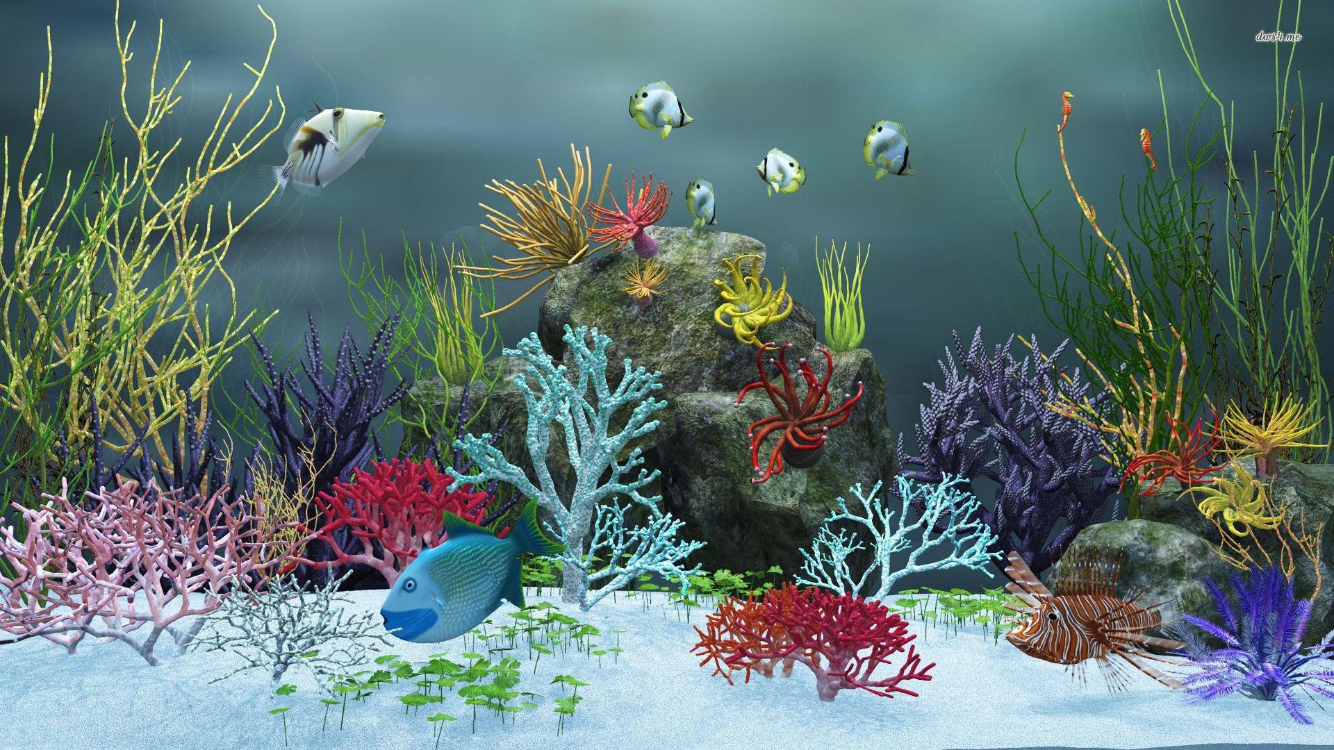 Aquarium wallpaper - Digital Art wallpapers
