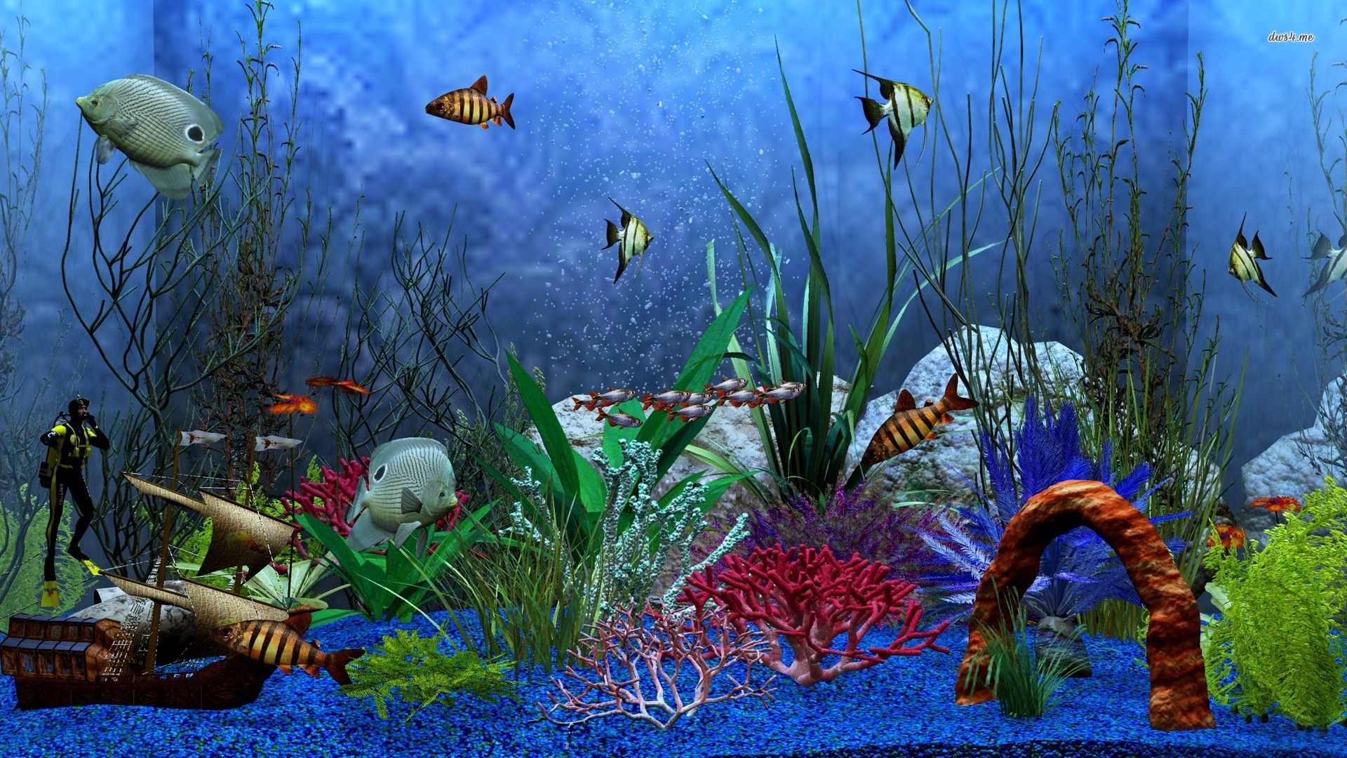 Aquarium wallpaper - Digital Art wallpapers - #8099