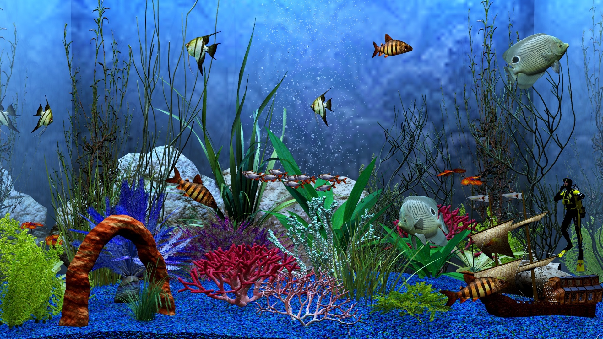 Aquarium Hd Wallpaper Photo - Ndemok.com