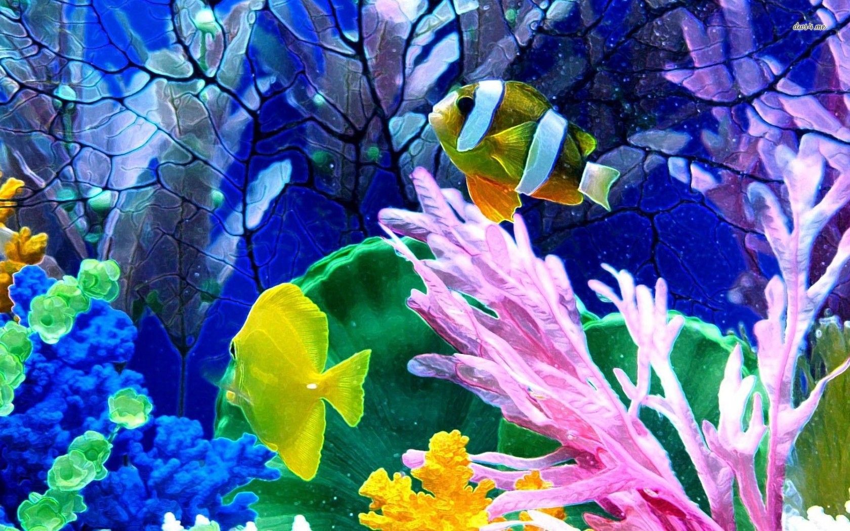 12059 clownfish in the aquarium 1680x1050 animal wallpaper
