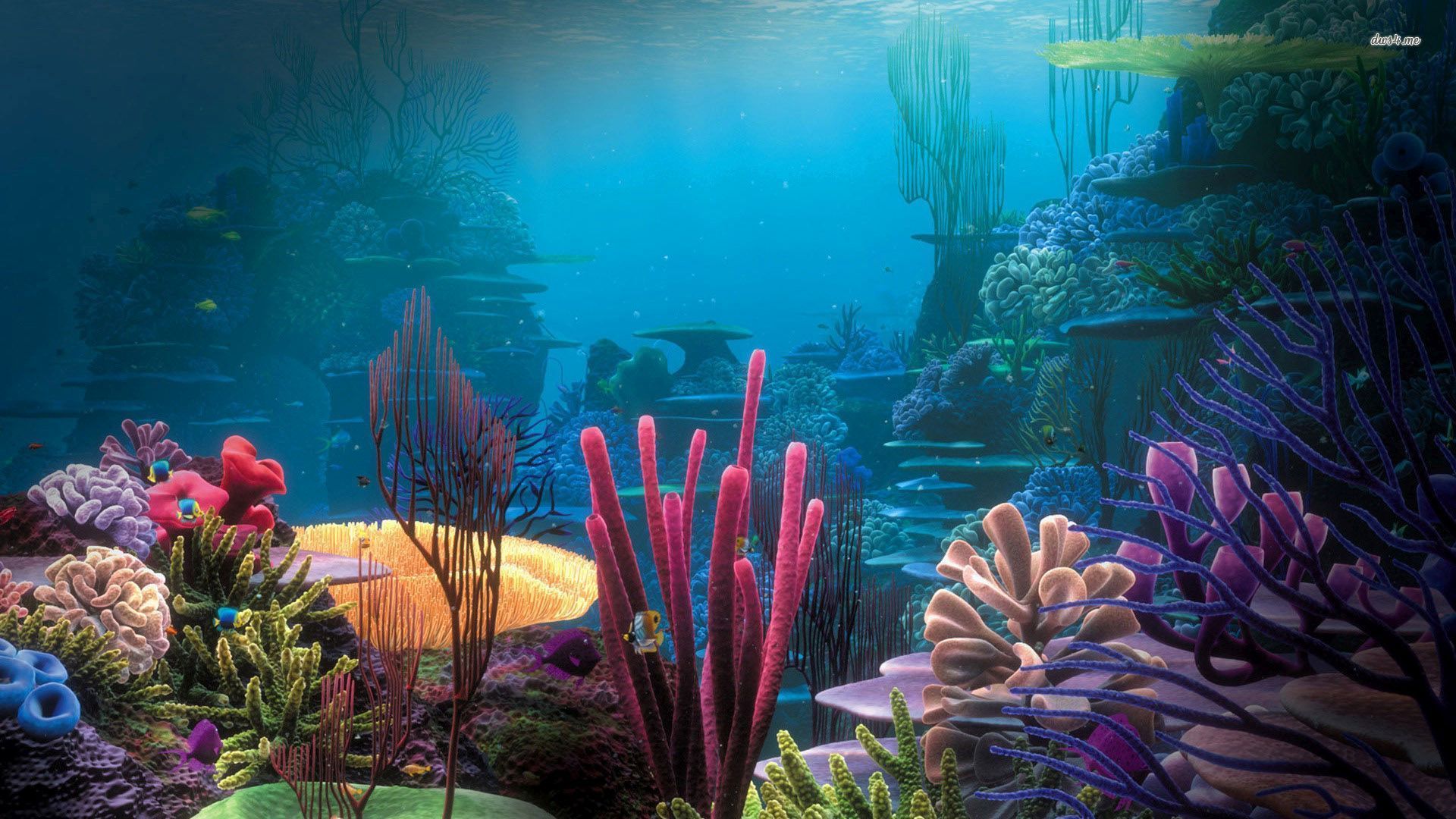 Aquarium wallpaper - Photography wallpapers