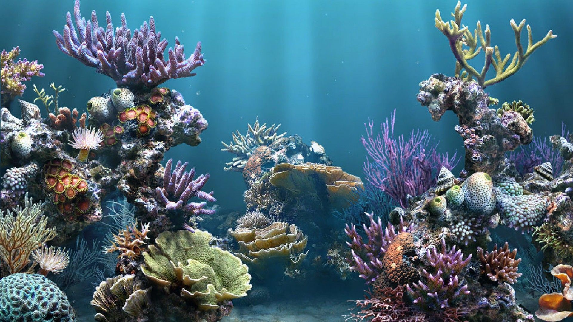 HD-Aquarium-Backgrounds-1080p.jpg