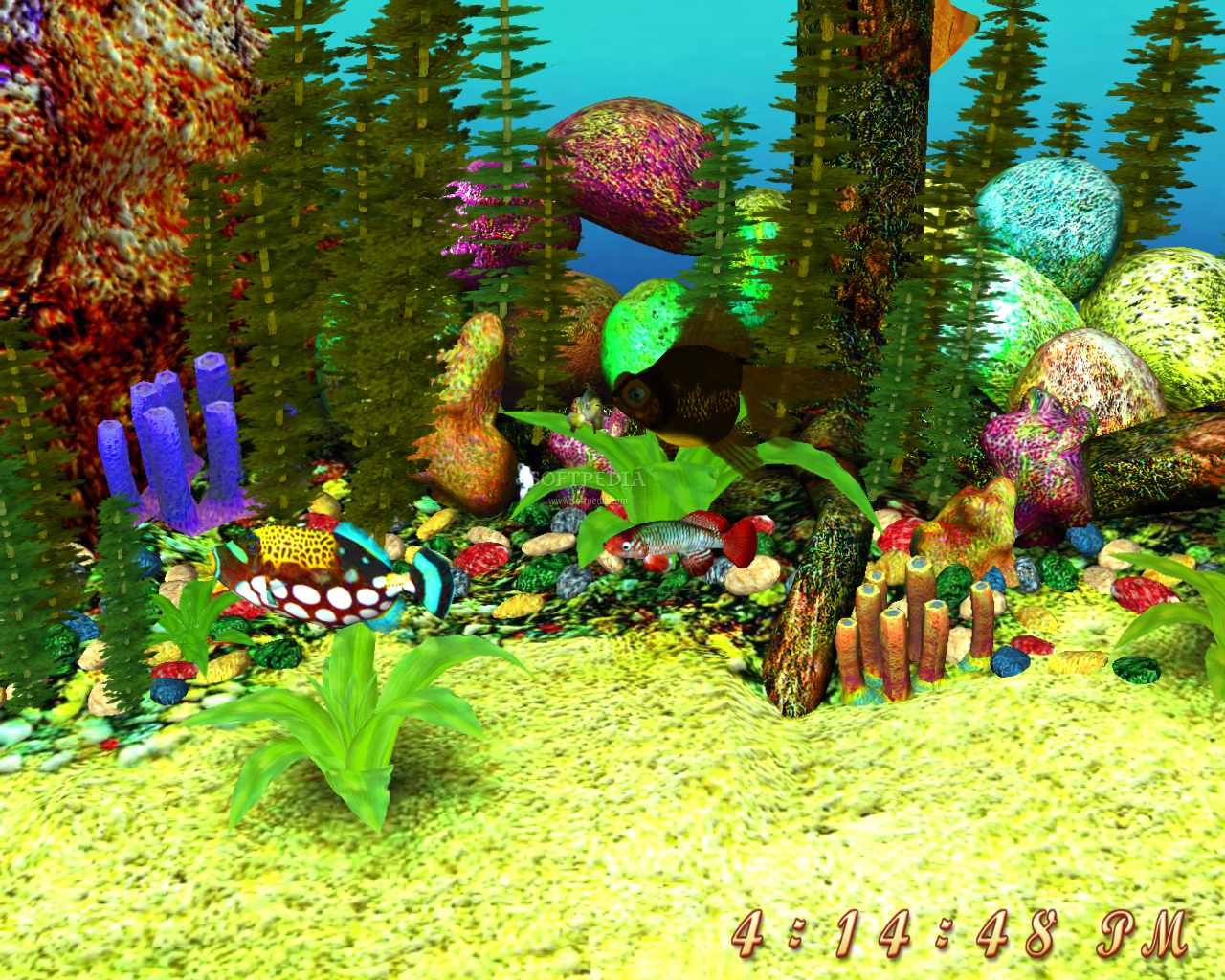 3D Sea Aquarium Screensaver ~ Best Wallpaper Hq