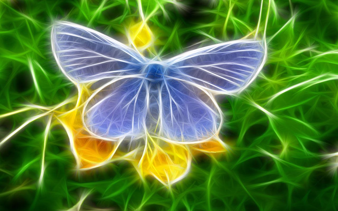 Colorful creative butterfly wallpaper - HD Wallpapers