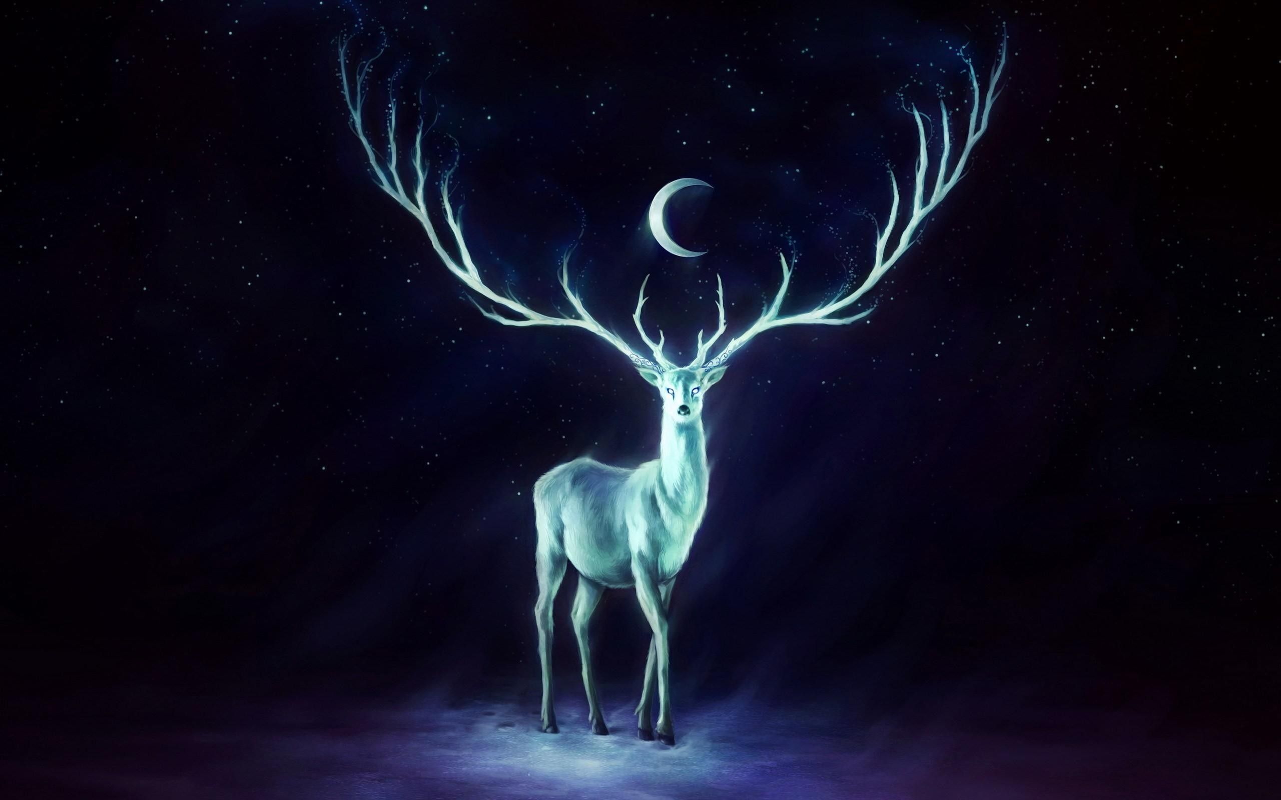 Deer: Moonlight Shone Light Deer Dark Reindeer Glow Cute Sweet ...