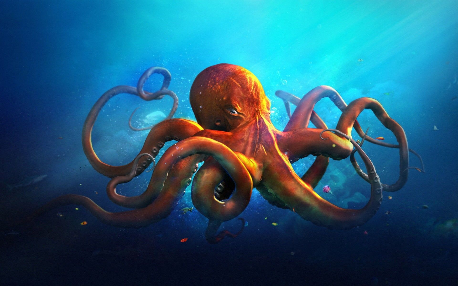 Octopus Desktop Wallpaper | Octopus Photos | Cool Wallpapers