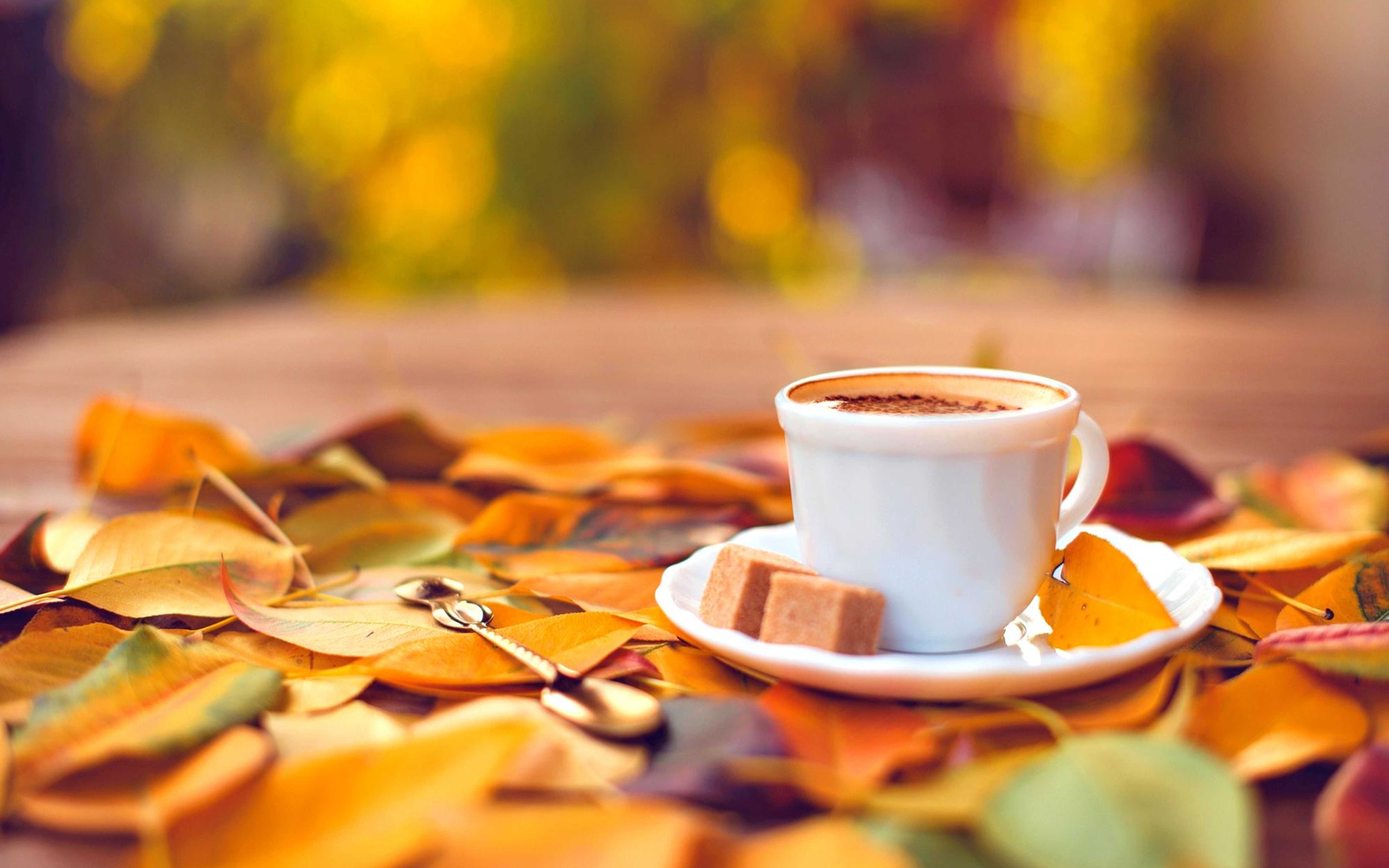 Доброе утро картинки осень. Осенний кофе. Осень кофе. Утро кофе осень. Уютная осень.