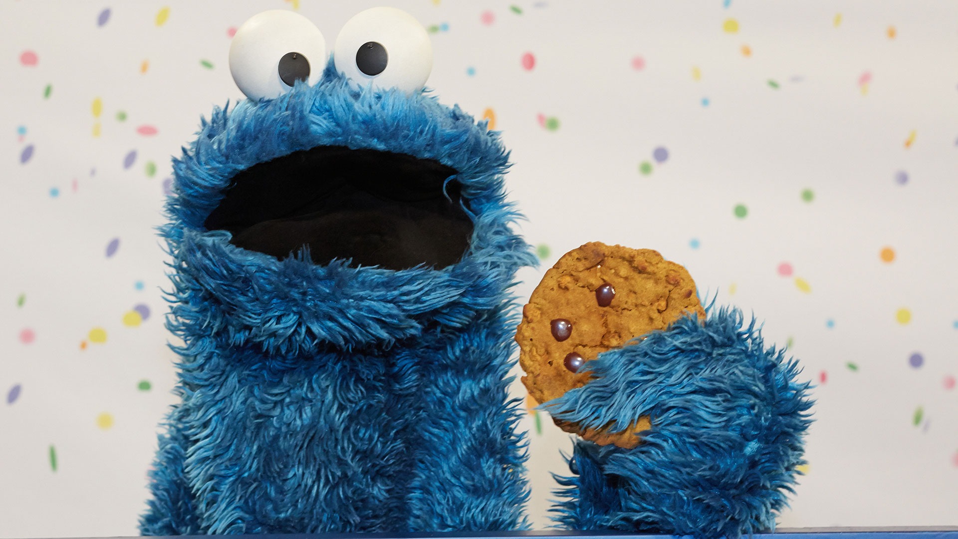 HD Funny Cookie Monster Computer Wallpaper Full Size ...