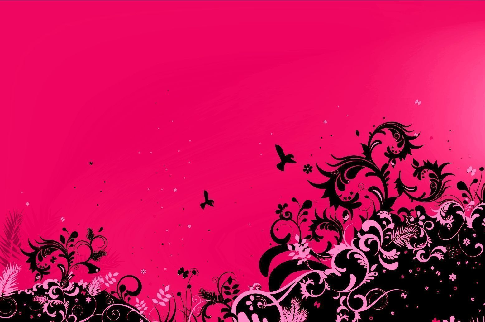 wide-pink-wallpaper.jpg