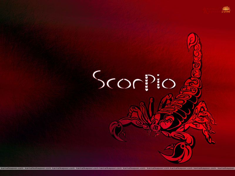 Scorpio Horoscope Wallpapers HD Pictures One HD Wallpaper