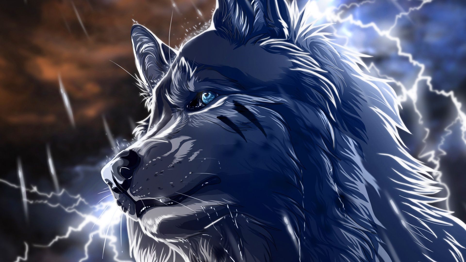 Desktop hd cool animated wolf images