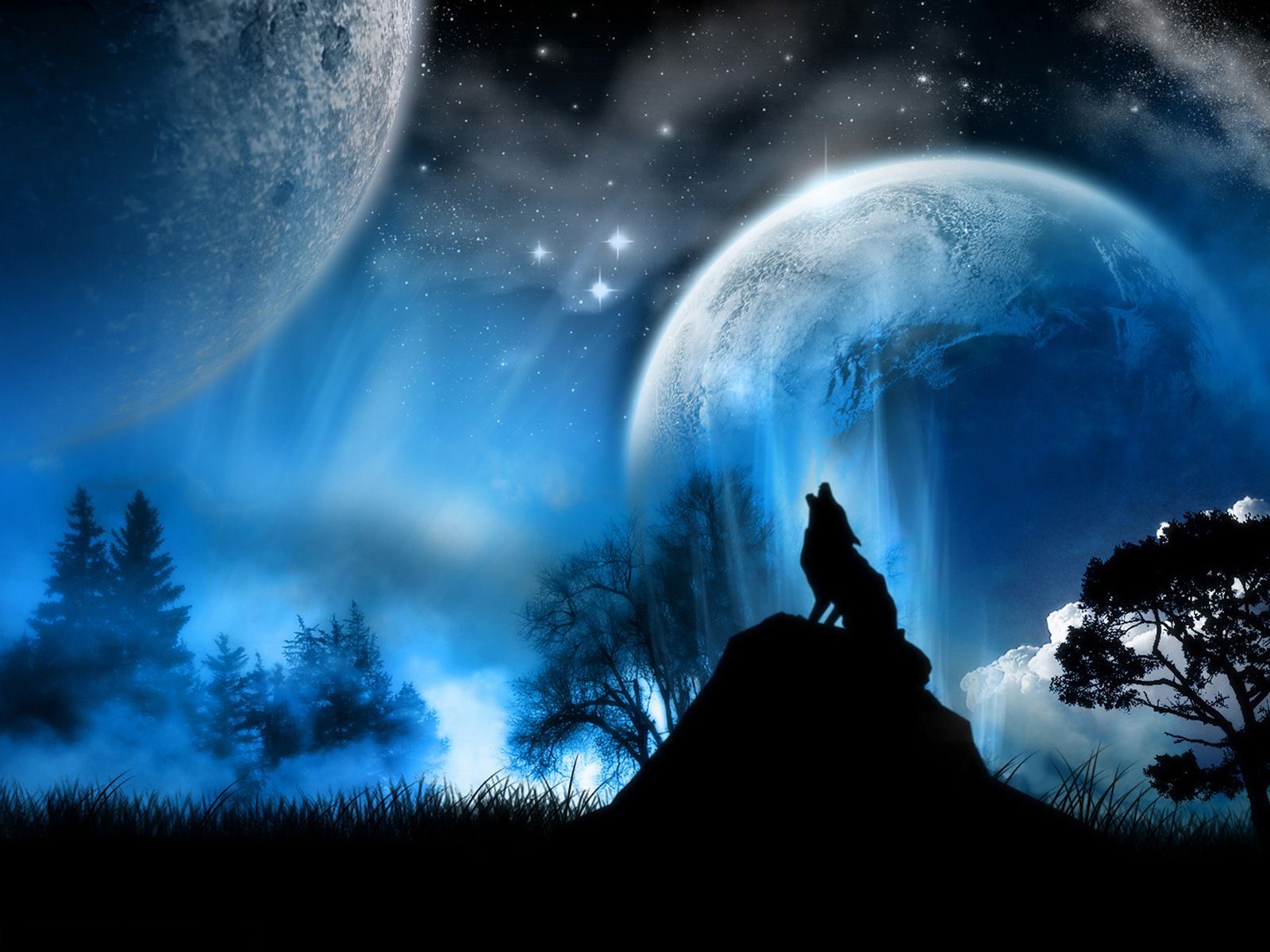 Animated wolf images wallpaper
