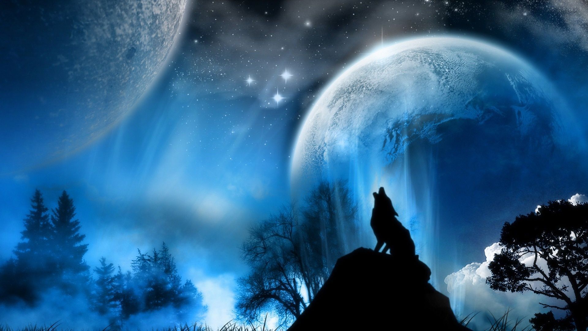 Animated Wolf Pictures - Wallpaper HD Wide