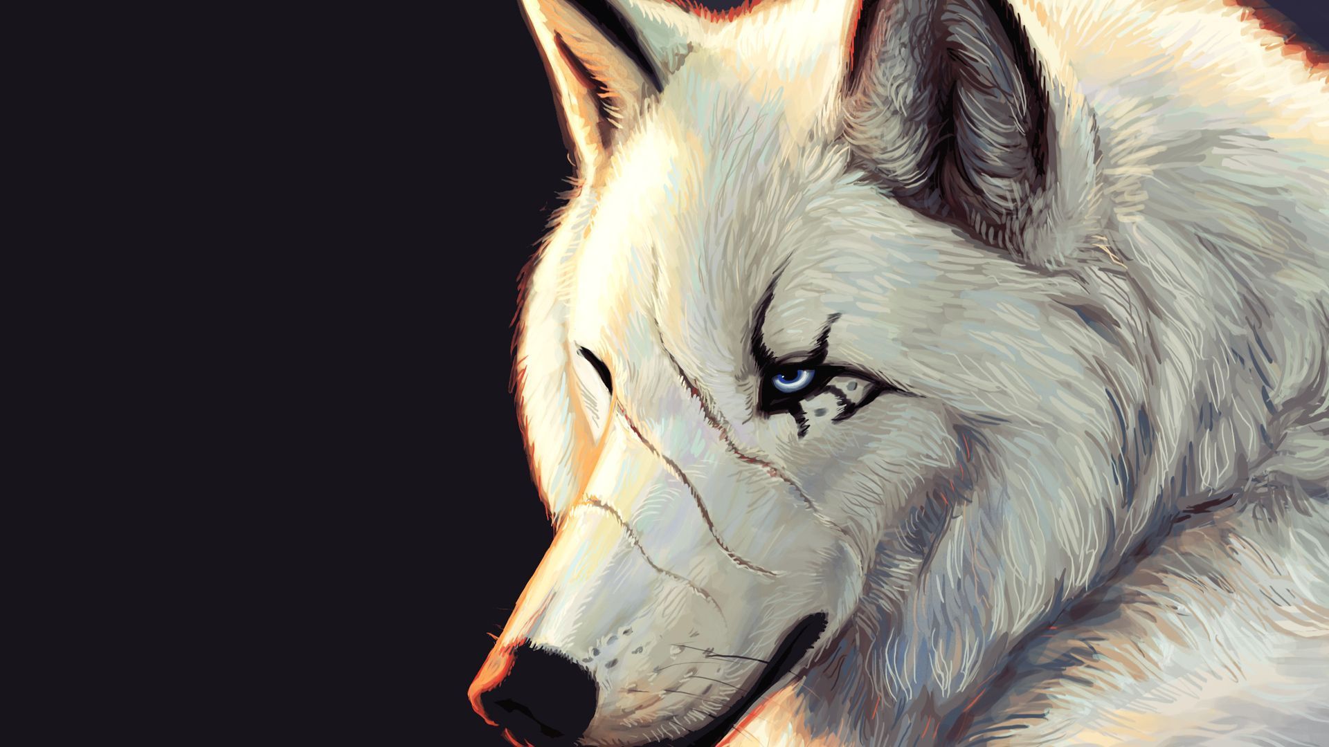 810 Wolf HD Wallpapers | Backgrounds - Wallpaper Abyss