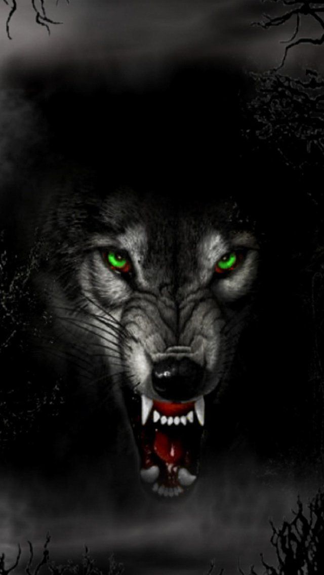 Black Wolf 3d Wallpaper Image Num 35