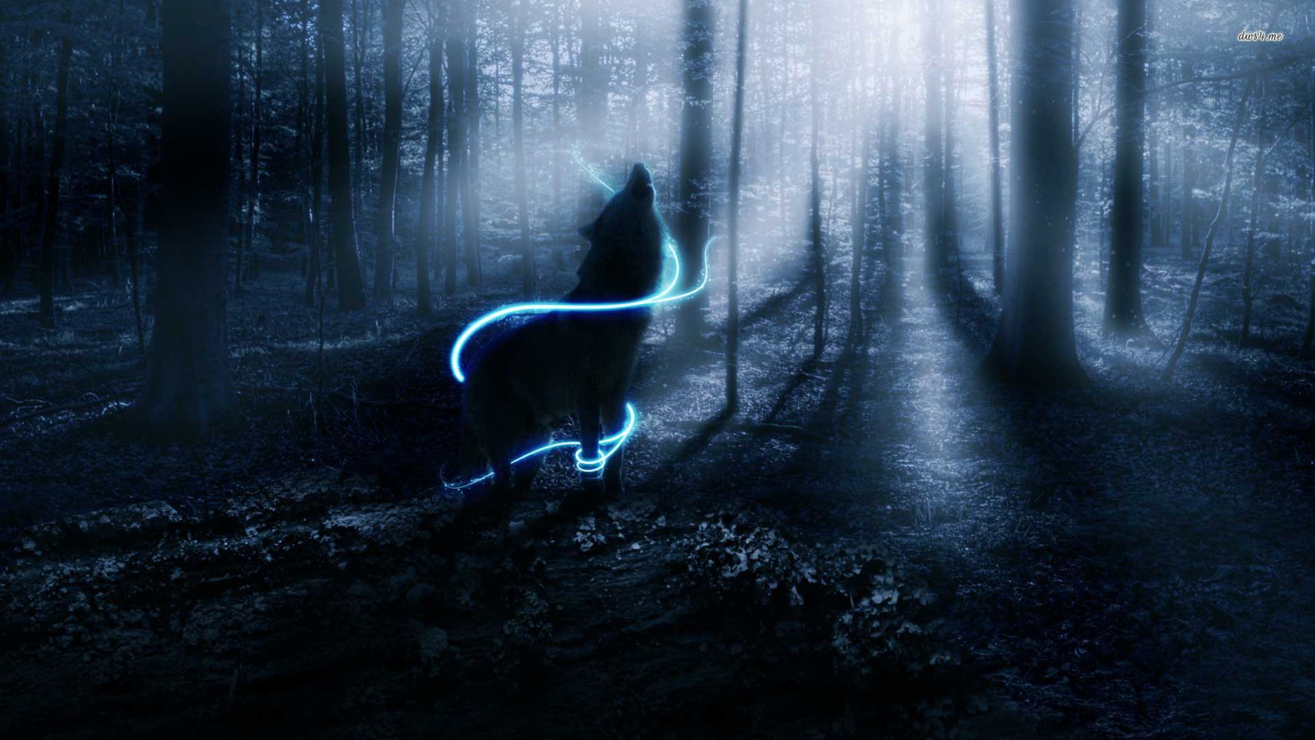 Animated Wolf Wallpapers Group (65+)
