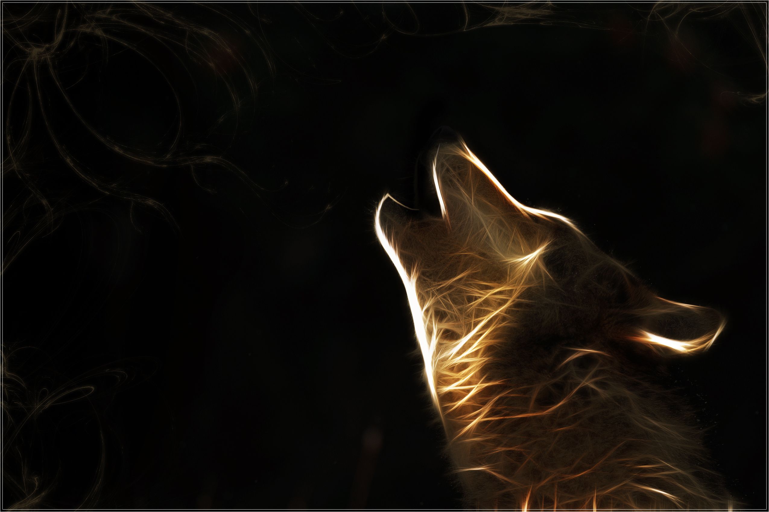 Wallpapers Pictures Photos: Fractal Wolf By Pictures