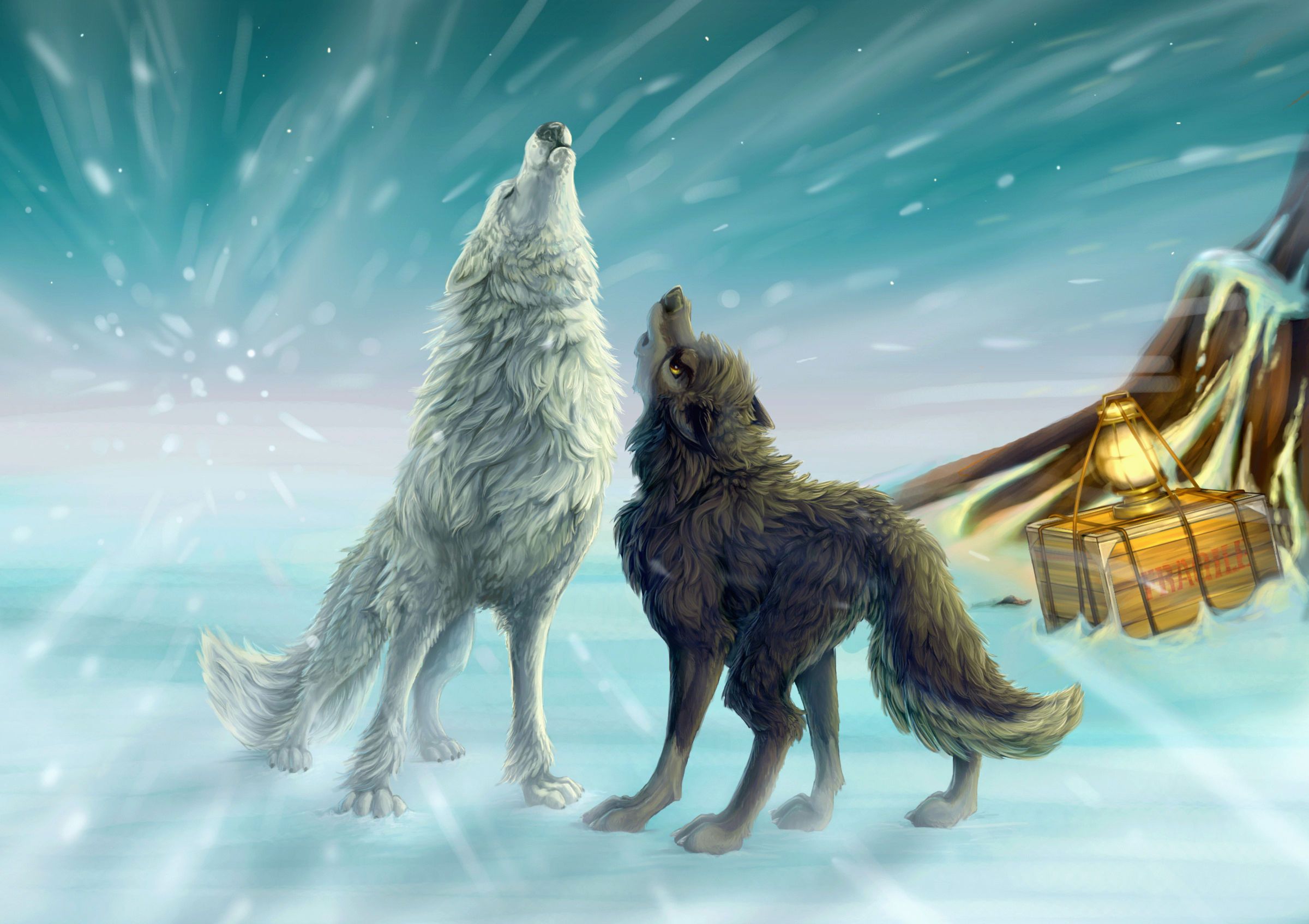 Wolf HD Wallpapers Wolf Images Free Download Cool Backgrounds