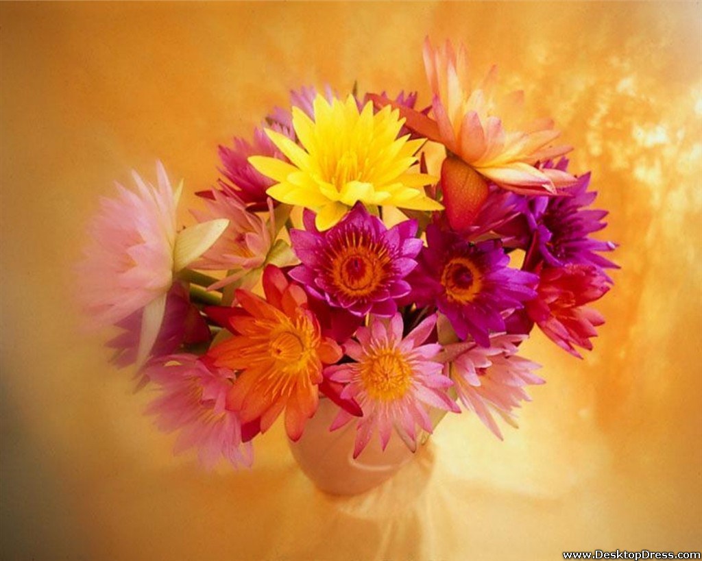 Desktop Wallpapers » Flowers Backgrounds » Happy Mothers Day » www ...