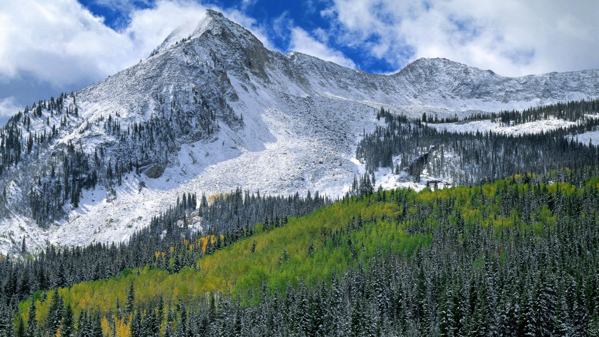 Colorado Snowy Landscape - wallpaper.