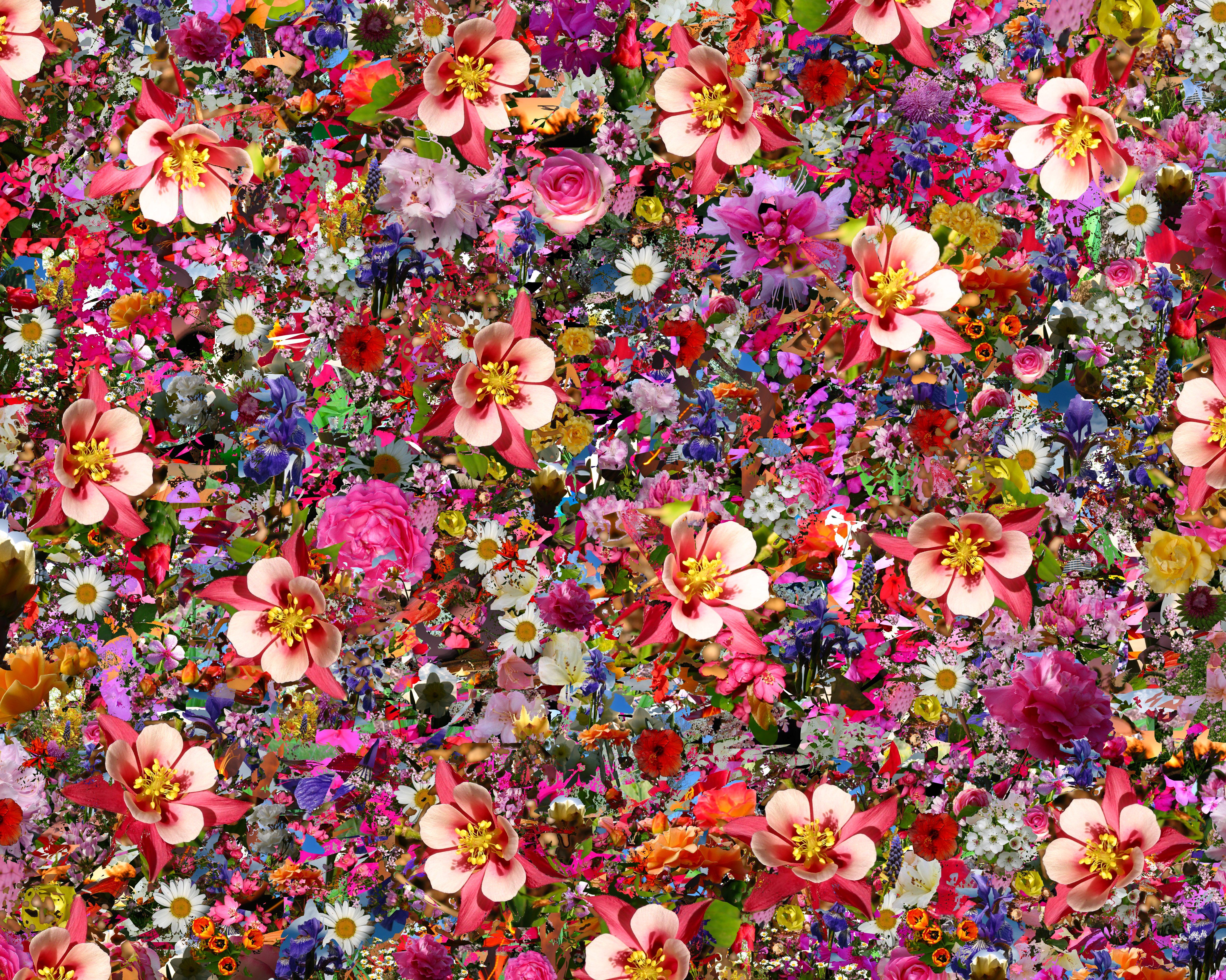 Psychedelic flower g wallpaper | 5000x4000 | 195031 | WallpaperUP