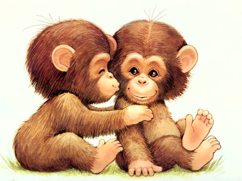 Cute Monkey Backgrounds Group (53+)