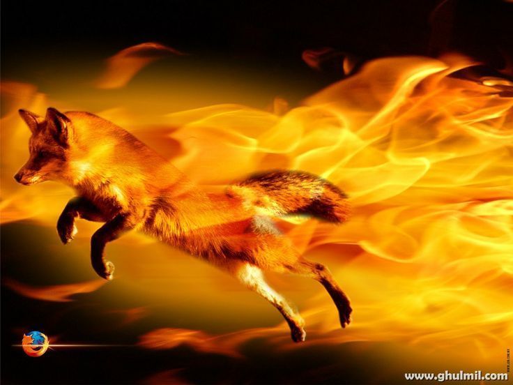 Awesome Moving 3D Wallpaper | Amazing 3D Fire Fox HD Hi Res ...