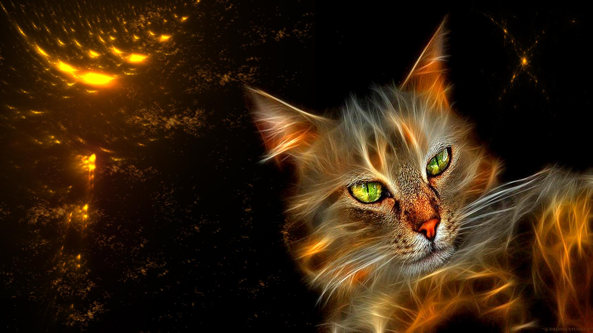 Download Flaming Cat Wallpaper HQ Picture #s202jf - Download Page ...