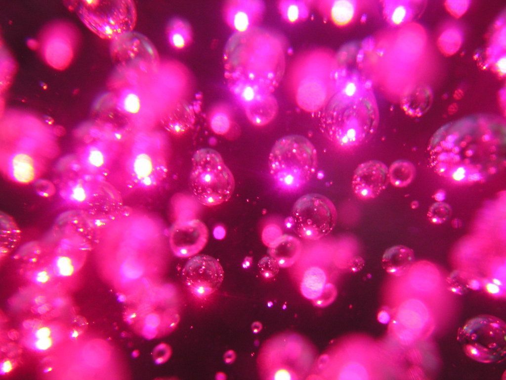 Bright Pink Wallpaper - All Wallpapers New