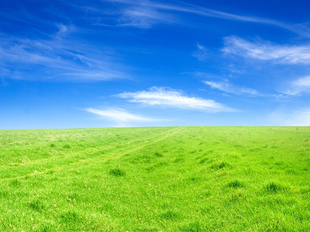 Green grass blue sky Wallpaper | 1024x768 resolution wallpaper ...