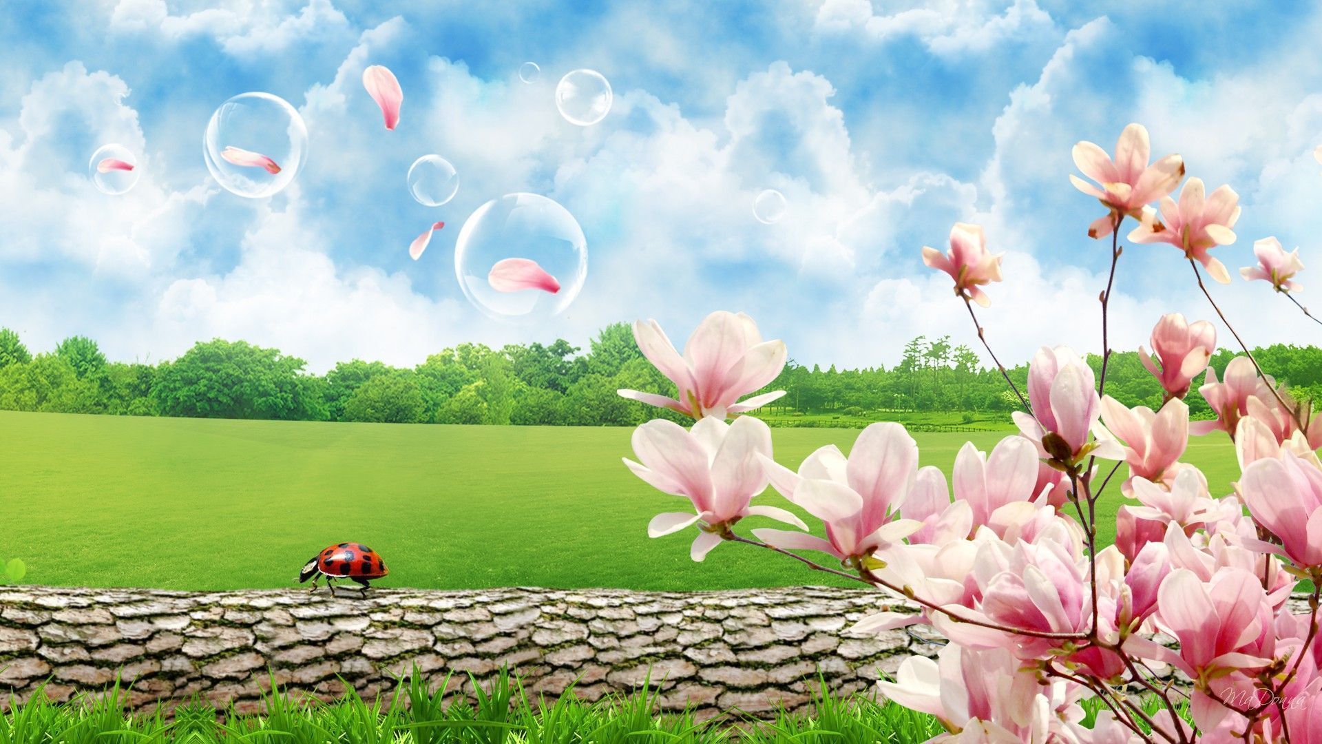7486_Pink-spring-flowers-and-a-ladybug-HD-wallpaper.jpg