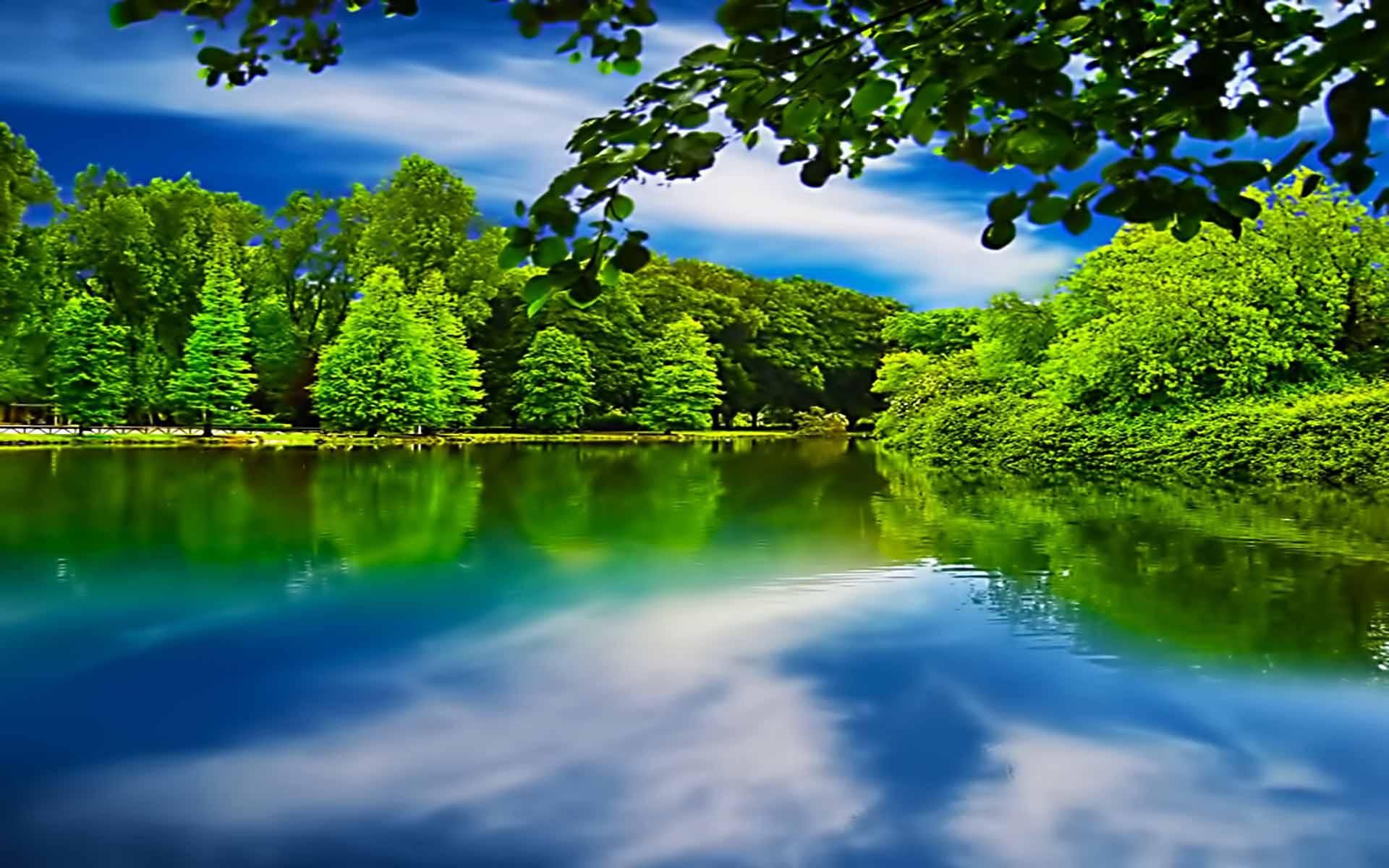 Peaceful Lake >> HD Wallpaper, get it now!