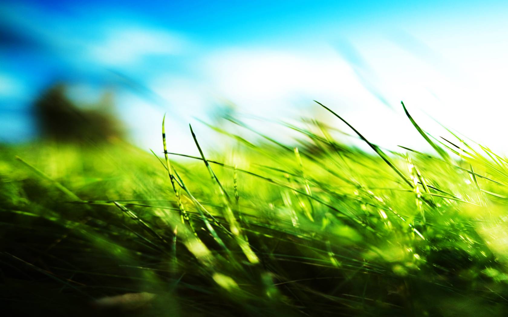 Green grass peace wallpaper - (#10021) - High Quality and ...