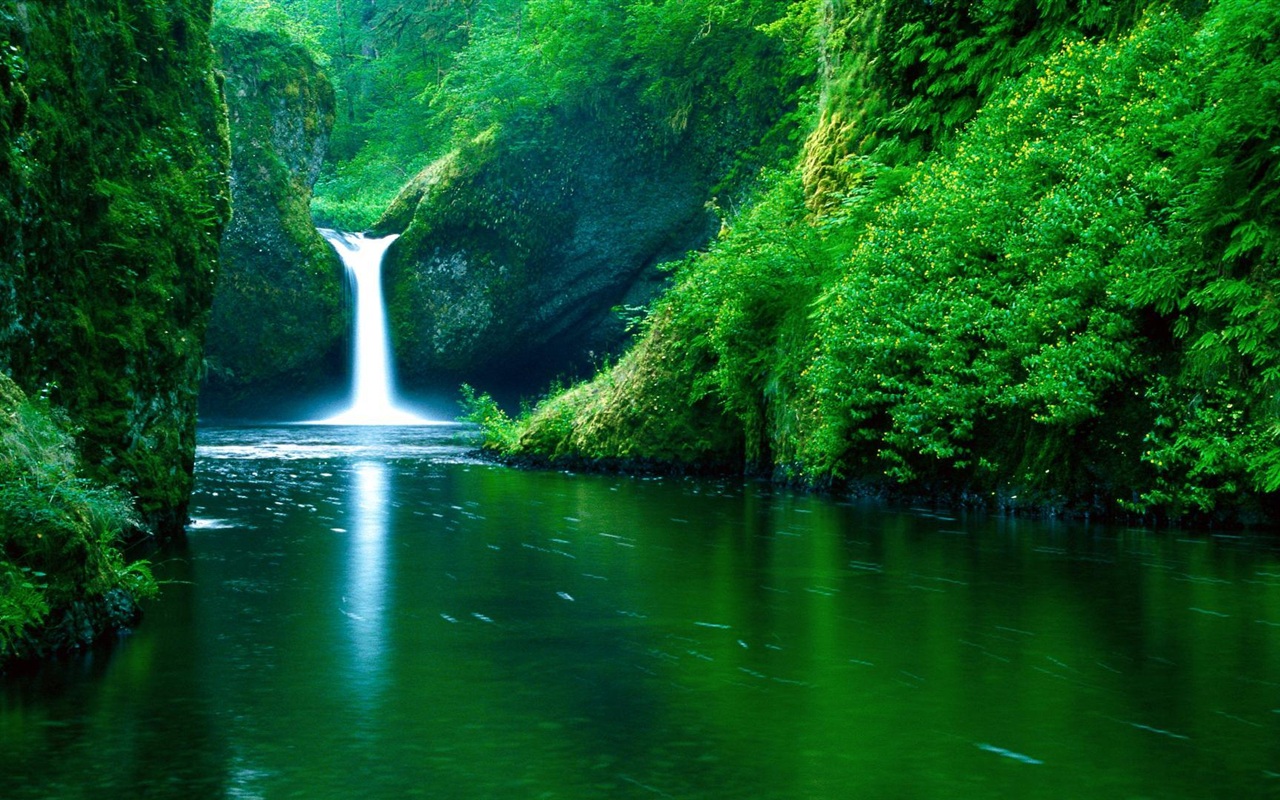 Waterfall river green Wallpaper | 1280x800 resolution wallpaper ...